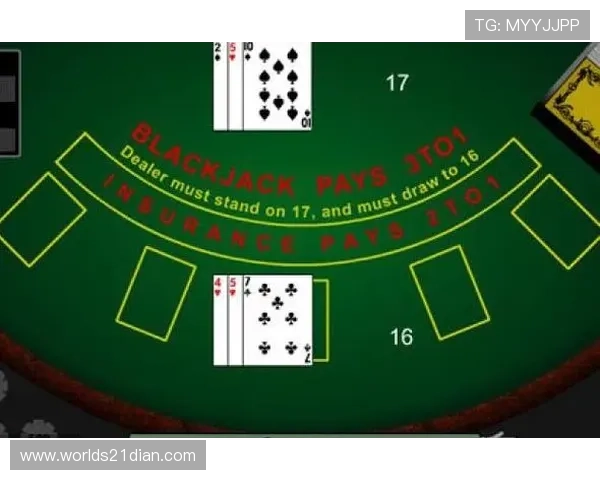 21点黑杰克电脑版安全保障措施,保障玩家个人信息与资金安全的全面解析